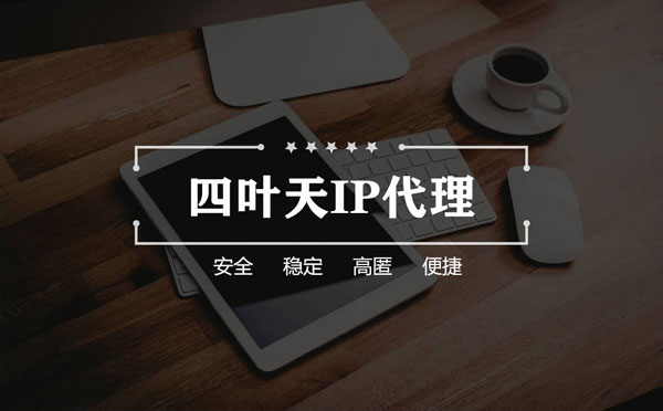 【鹤壁代理IP】如何快速搭建代理IP？怎么检查代理的效果？